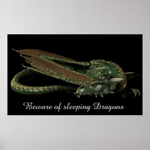 眠るドラゴン ポスター