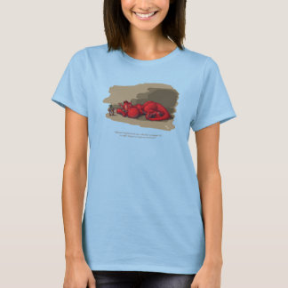 眠るドラゴン Tシャツ