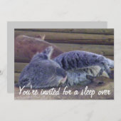 眠るパーティー/パーティー上の眠り_ 招待状 (正面/裏面)