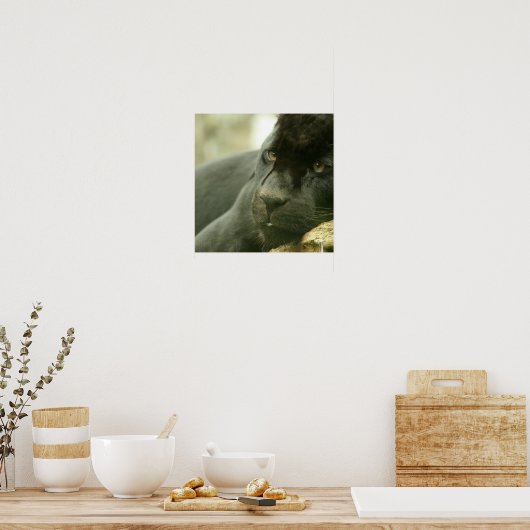 眠るヒョウのポスター ポスター (キッチン)