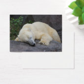 眠るホッキョクグマ (デスク)