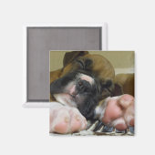 眠るボクサーの子犬の四角い磁石 マグネット (正面/裏面)