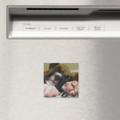 眠るボクサーの子犬の四角い磁石 マグネット (インサイチュ (食洗機))