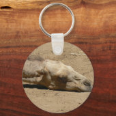 眠るラクダ キーホルダー (正面)