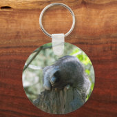 眠るラクーンのキーチェーン キーホルダー (正面)