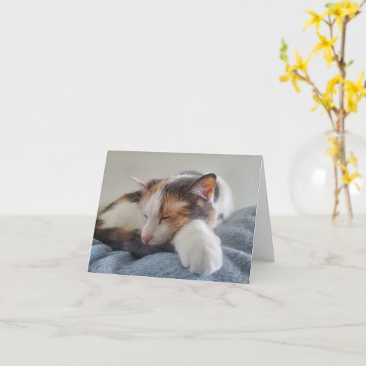 眠る三毛猫 カード (黄色い花)