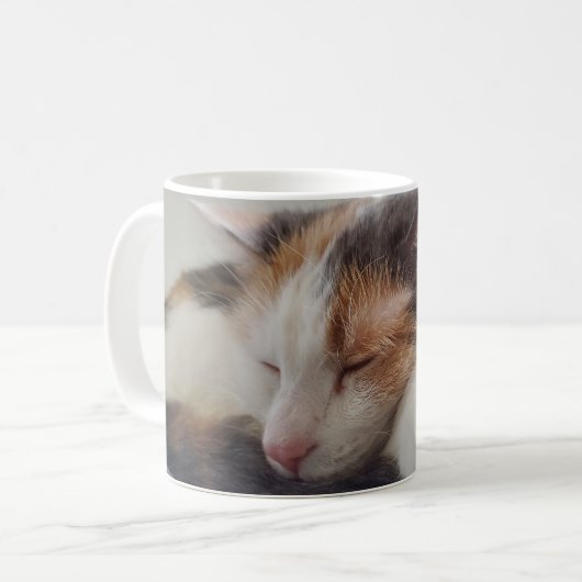 眠る三毛猫 コーヒーマグカップ (正面左)