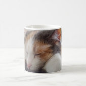 眠る三毛猫 コーヒーマグカップ (中央)