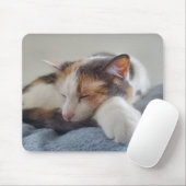 眠る三毛猫 マウスパッド (マウス)