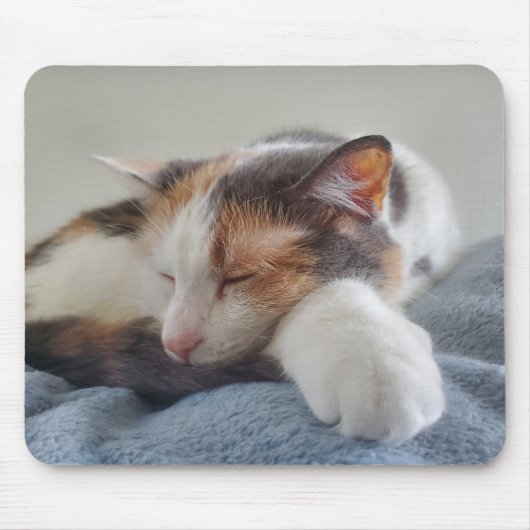 眠る三毛猫 マウスパッド (正面)