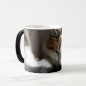 眠る三毛猫 モーフィングマグカップ (正面左)