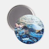 「眠る亀」磁石 マグネット (正面/裏面)