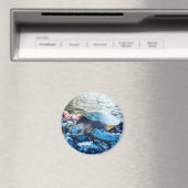 「眠る亀」磁石 マグネット (インサイチュ (食洗機))