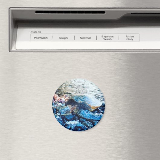 「眠る亀」磁石 マグネット (インサイチュ (食洗機))