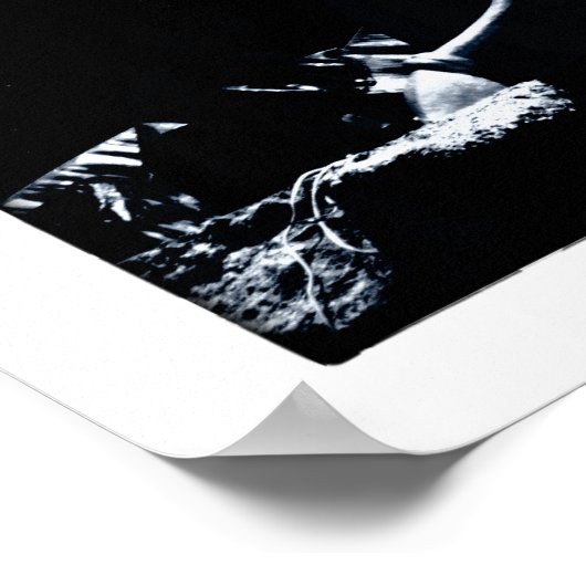 眠る仏と目覚め/ダルマ ポスター (角)