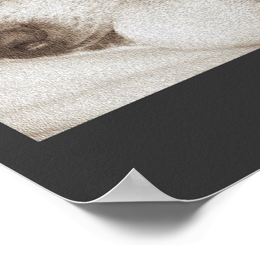 眠る古い秋田犬の動物の悔やみや弔慰詩 ポスター (角)