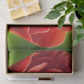 眠る可愛いネズミ 薄葉紙 (ギフト)