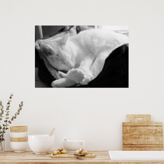 眠る声 ポスター (キッチン)