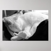 眠る声 ポスター (正面)