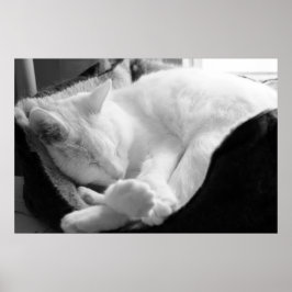 眠る声 ポスター