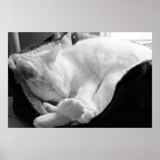 眠る声 ポスター (正面)