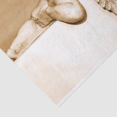 眠る天使ティッシュペーパー 薄葉紙 (詳細)