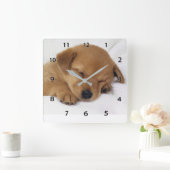眠る子犬の壁時計 スクエア壁時計 (ホーム)