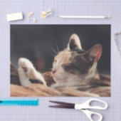 眠る子猫チャイルド 薄葉紙 (クラフト)