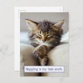 眠る子猫 インビテーションポストカード (正面/裏面)