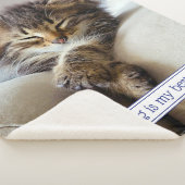 眠る子猫 シェルパブランケット (3/4)