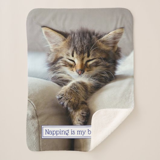 眠る子猫 シェルパブランケット (正面)