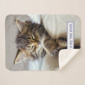 眠る子猫 シェルパブランケット (正面(横))