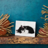 眠る子猫 フォトプラーク (側面)