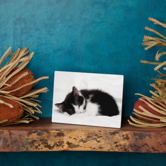 眠る子猫 フォトプラーク (側面)