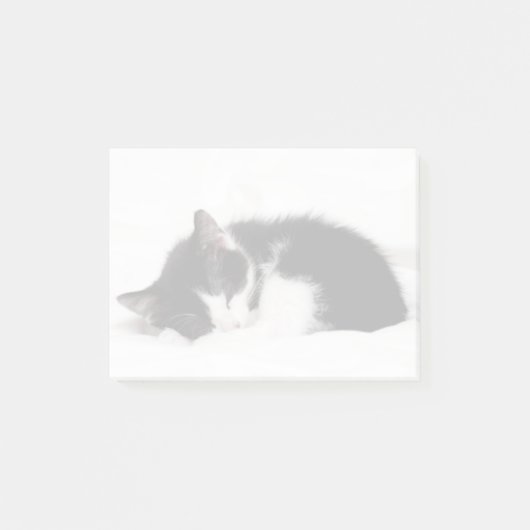 眠る子猫 ポストイット (正面)