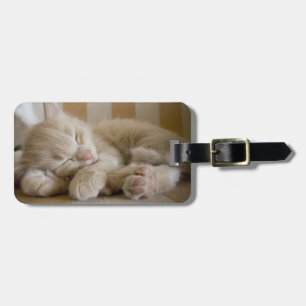 眠る子猫 ラゲッジタグ