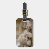 眠る子猫 ラゲッジタグ (正面縦)