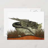 眠る岩の竜 ポストカード (正面/裏面)