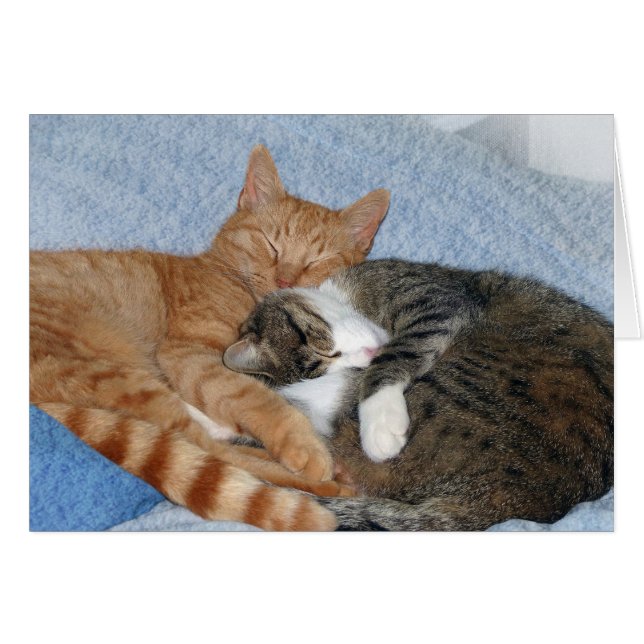 眠る恋人 (正面横)