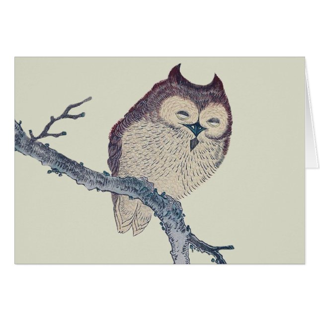 眠る日本のフクロウの夜のアートワーク (正面横)