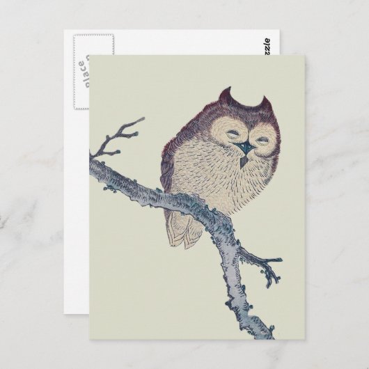 眠る日本のフクロウの夜のアートワーク ポストカード (正面/裏面)