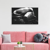 眠る海ライオン。1781 キャンバスプリント (インサイチュ (リビング))