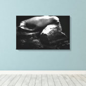 眠る海ライオン。1781 キャンバスプリント (インサイチュ (ウッドフロア))