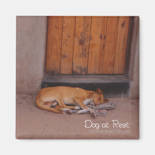 『眠る犬』 マグネット