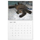 眠る猫と子猫かわいい子猫2021 カレンダー (3月 2026)