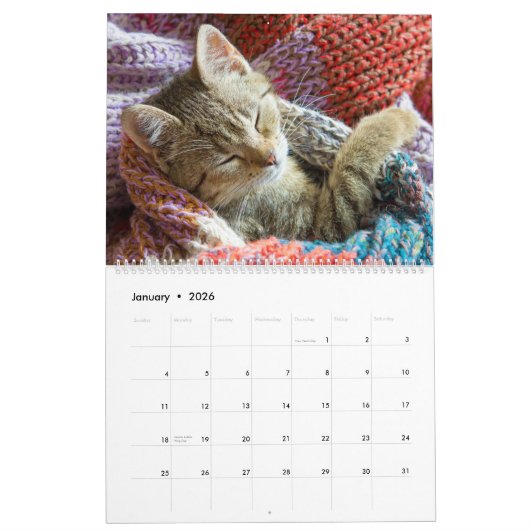 眠る猫と子猫かわいい子猫2021 カレンダー (1月 2026)