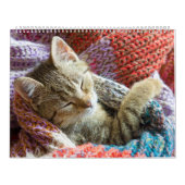 眠る猫と子猫かわいい子猫2021 カレンダー (カバー)