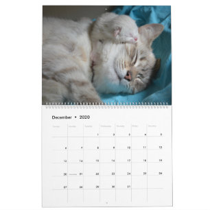 眠る猫と子猫たち可愛い子猫2020 カレンダー