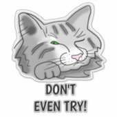 眠る猫も試さない! シール (正面)