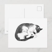 眠る猫 – ゆっくり休むための優しいリマインダー ポストカード (正面/裏面)